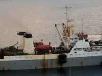 Troolari myynnissä