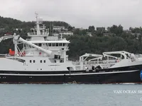 Troolari myynnissä