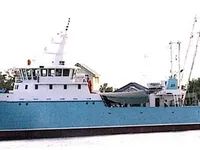 Troolari myynnissä