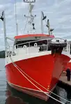 Troolari myynnissä