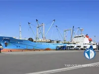 Kylmälaiva Myytävänä