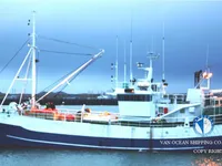 Troolari myynnissä