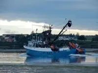 Purse-troolari myynnissä