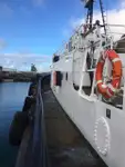 Vetolaiva myynnissä
