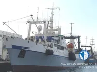 Troolari myynnissä