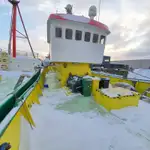 Partiovene myynnissä
