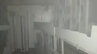 Partiovene myynnissä