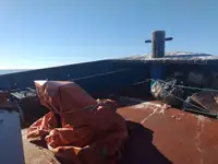 Vetolaiva myynnissä
