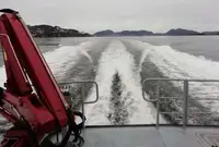 Työalukset myynnissä