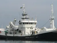 Troolari myynnissä