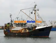 Troolari myynnissä