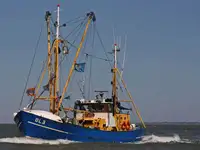 Troolari myynnissä