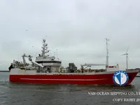 Troolari myynnissä