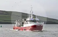 Troolari myynnissä