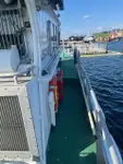 Partiovene myynnissä