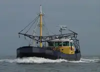 Troolari myynnissä