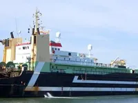Troolari myynnissä