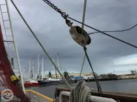 Troolari myynnissä