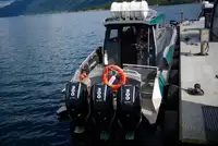 Partiovene myynnissä