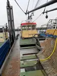 Troolari myynnissä