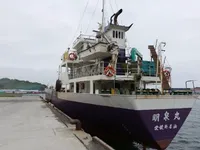 General Cargo/Multi-purpose myynnissä