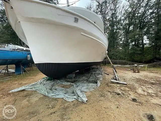 Troolari myynnissä