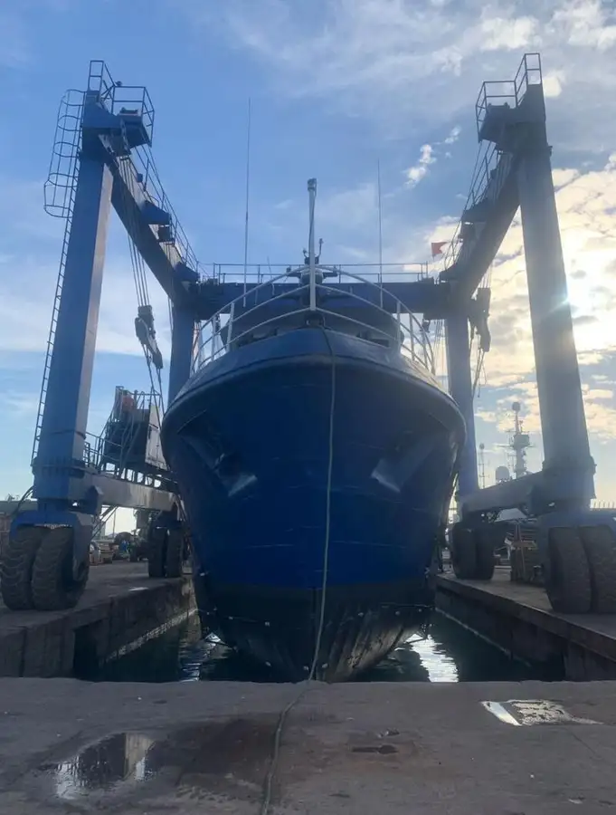 Troolari myynnissä