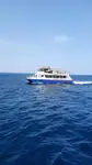 Katamaraani Myytävänä