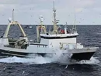 Troolari myynnissä