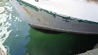 Troolari myynnissä