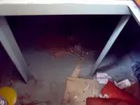 Vetolaiva myynnissä