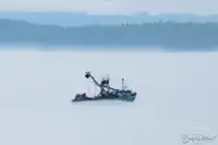 Purse-troolari myynnissä