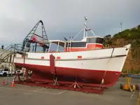 Troolari myynnissä