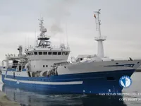 Troolari myynnissä