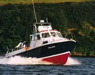 Leikkuri Myytävänä