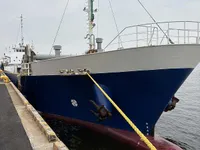General Cargo/Multi-purpose myynnissä