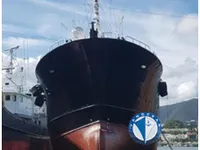 Troolari myynnissä