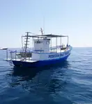Troolari myynnissä