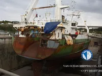Troolari myynnissä