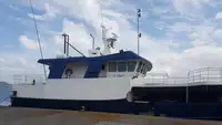 Troolari myynnissä