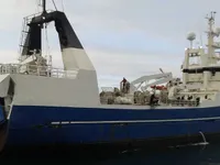 Troolari myynnissä