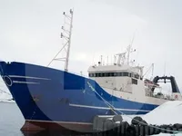 Troolari myynnissä