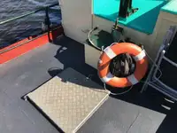 Hinaaja myynnissä
