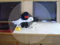 Troolari myynnissä
