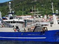Purse-troolari myynnissä
