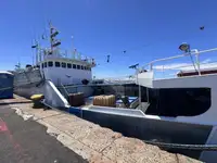 Troolari myynnissä
