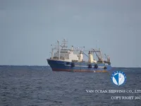 Troolari myynnissä