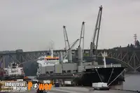Kuivalastialus myynnissä