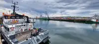 Katamaani myynnissä
