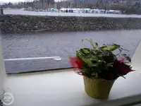 Kutteri myynnissä